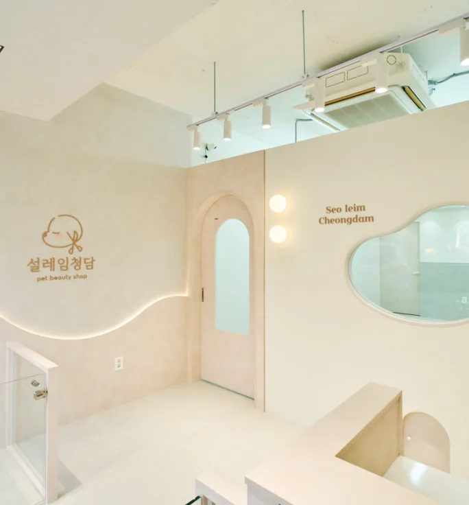 설레임청담 대표 이미지